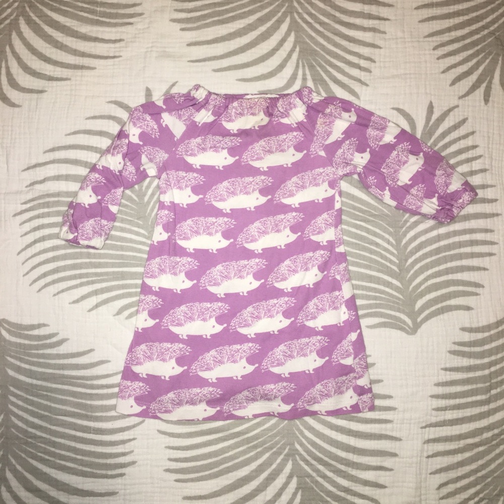 Hedgehog dress/nightgown